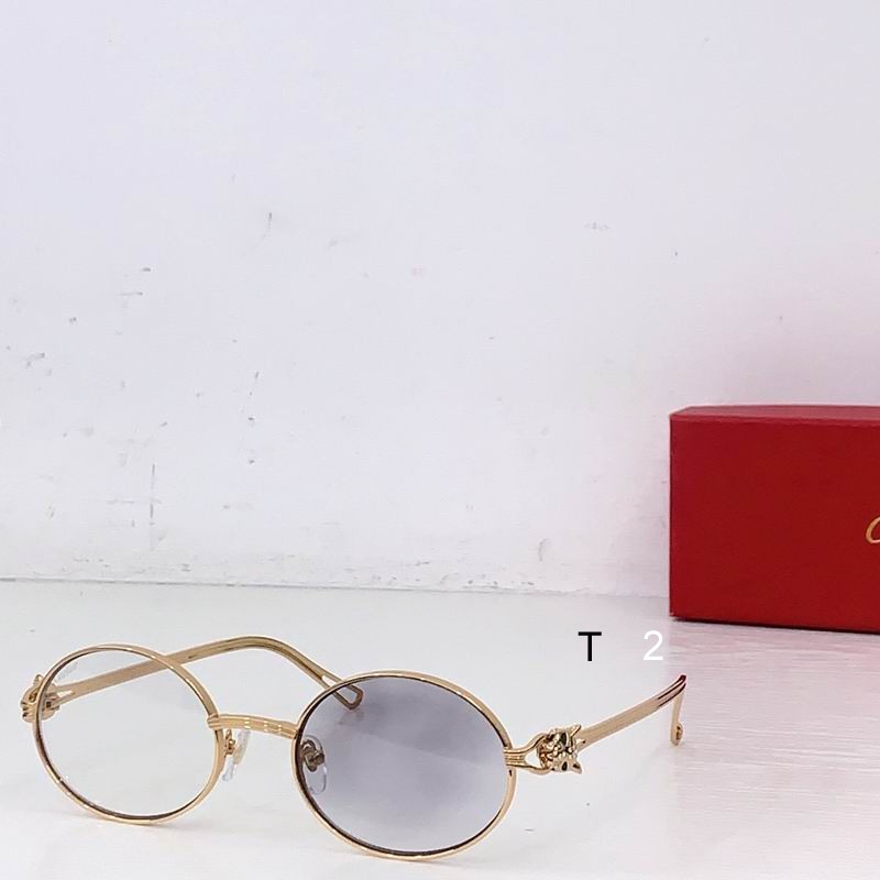 Cartier CT7073 145 b